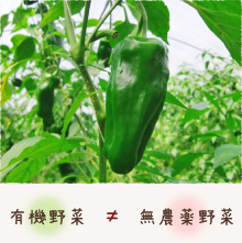 有機野菜って？