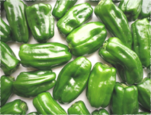 有機野菜の特長