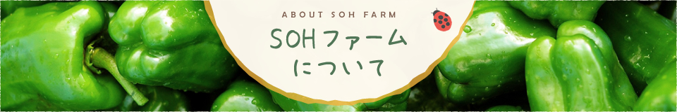 SOHファームについて