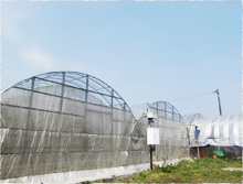 SOHファームの誕生