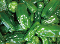 ピーマン栽培の流れ