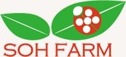 SOHファーム
