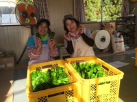 私たちが収穫しています。の画像