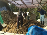 来期の準備・・・自家製堆肥の仕込み実施の画像